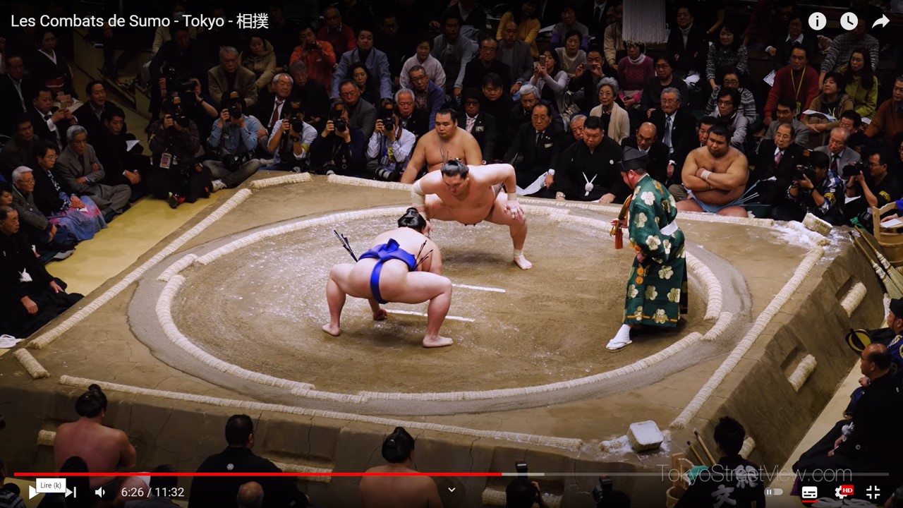 combat sumo